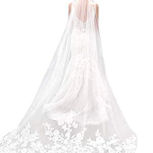 Bridal Veil with Delicate Lace & Net Detailing